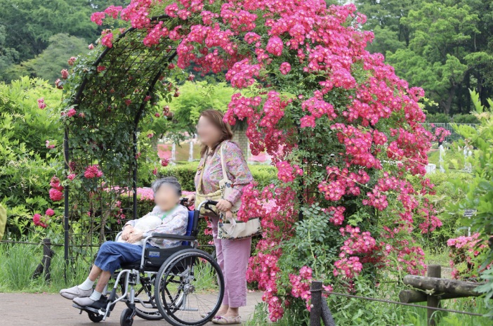 バラのアーチの前を車椅子で散策する参加者